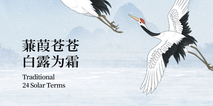 立秋第三个气节-白露